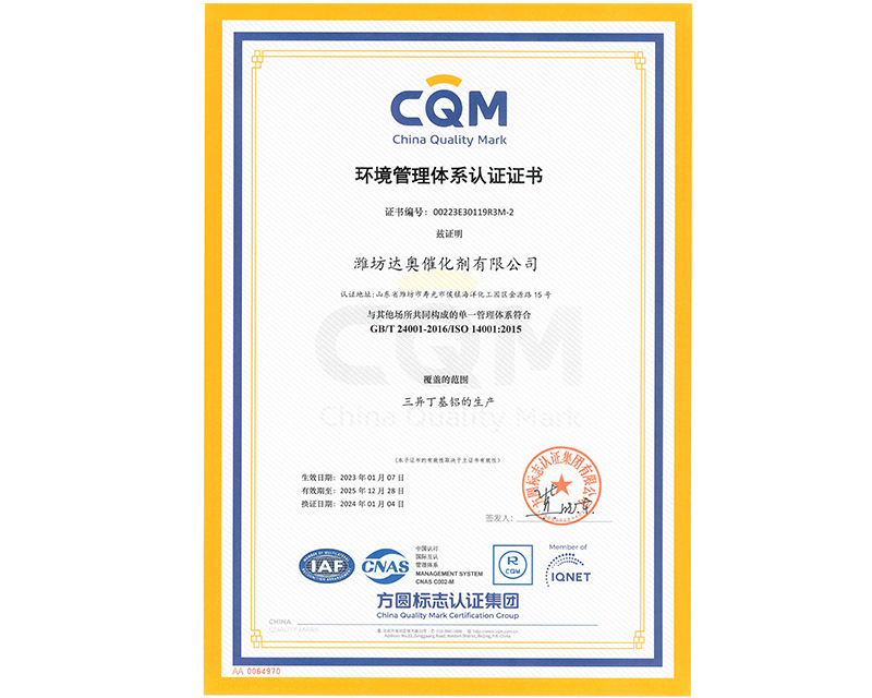 达奥公司--环境管理体系中文版证书